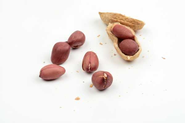 花生几月份播种 可以在春天的3月份进行