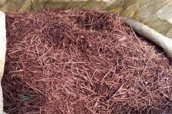 六月雪用什么土养护，对土壤的要求比较严格