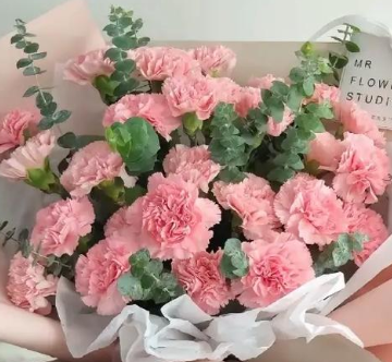 康乃馨的花语是什么